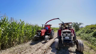 Denizli Büyükşehir, Çiftçilere 125 bin kg silajlık mısır tohumu dağıtıldı