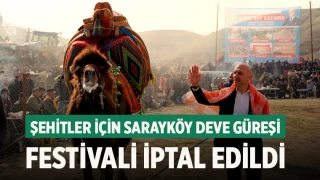 Sarayköy Deve Güreşleri Festivali Şehitler İçin İptal Edildi