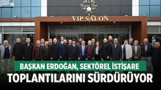 Başkan Erdoğan, Hizmet, Eğitim ve Sigorta Meslek Komiteleriyle bir araya geldi