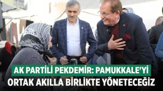 Halil Pekdemir, "Pamukkale'yi Ortak Akılla Yöneteceğiz"
