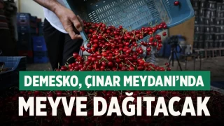 DEMESKO, Çınar Meydanı’nda meyve dağıtacak