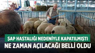 Çivril Hayvan Pazarı Kurban Bayramı İçin Açılıyor