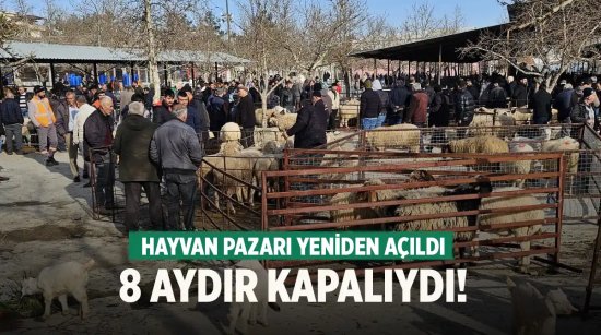 Denizli'de 8 aydır kapalı olan hayvan pazarı yeniden açıldı