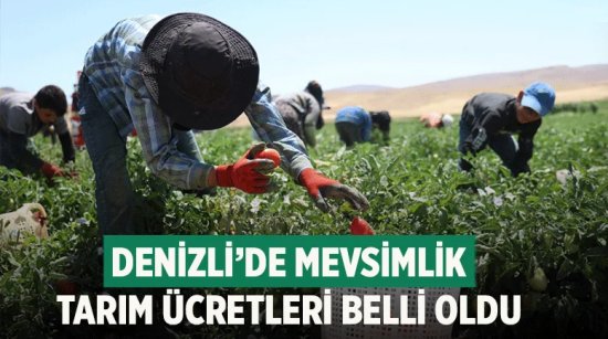 Denizli’de mevsimlik tarım ücretleri belli oldu
