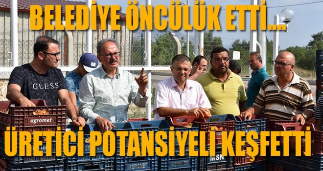 Denizli'de seracılığı o ilçede keşfetti