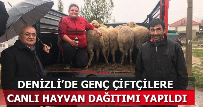 Denizli’de Genç Çiftçilere Canlı Hayvan Dağıtımı Yapıldı