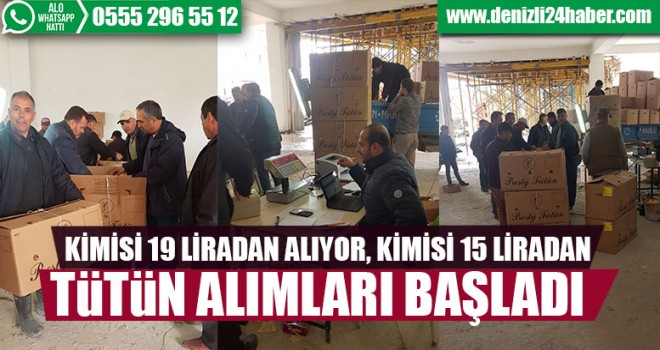 Tütün Alımları Başladı