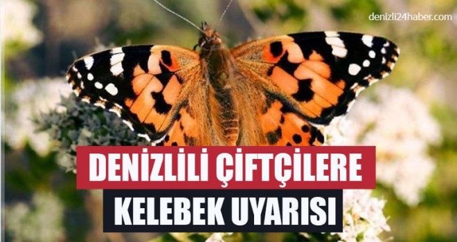 Denizlili Çiftçilere Kelebek Uyarısı