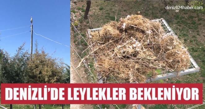 Denizli’de Leylekler Bekleniyor