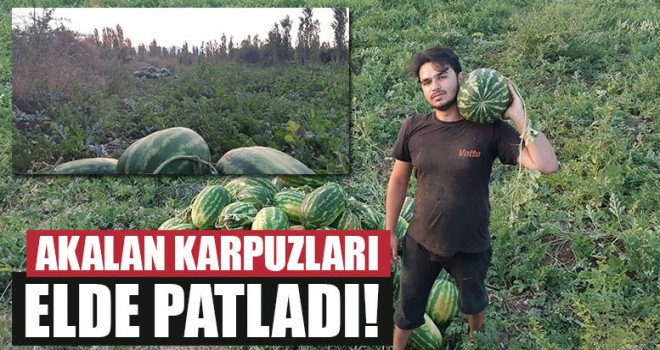 Akalan karpuzları elde patladı!