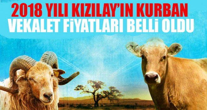 2018 Yılı Kızılay’ın Kurban Vekalet Fiyatları Belli Oldu