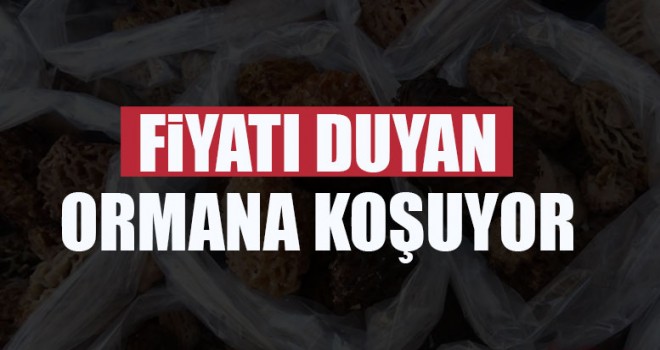 Fiyatı Duyan Ormana Koşuyor