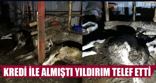 Kredi İle Almıştı Yıldırım Telef Etti