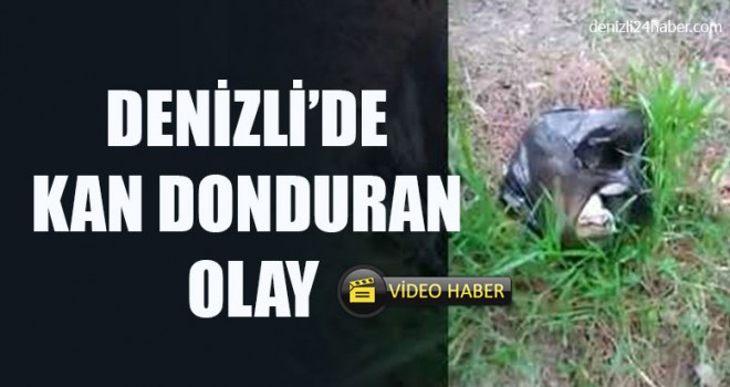 Denizli’de Kan Donduran Olay