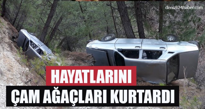 Hayatlarını Çam Ağaçları Kurtardı