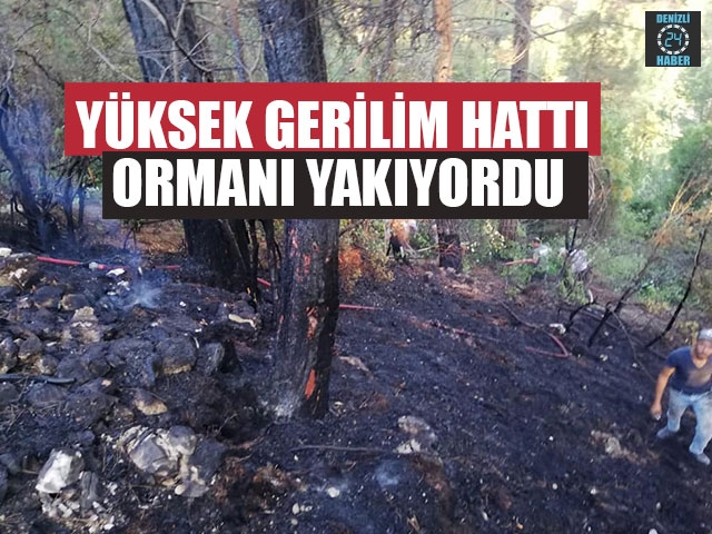 Yüksek Gerilim Hattı Ormanı Yakıyordu