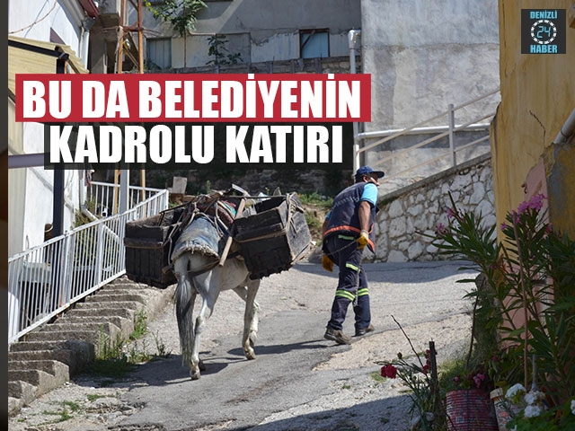 Bu Da Belediyenin Kadrolu Katırı