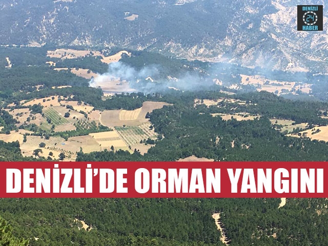 Denizli’de Orman Yangını