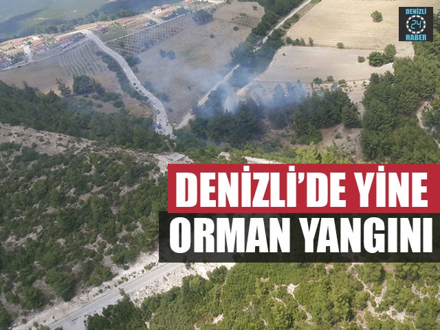 Denizli’de Yine Orman Yangını