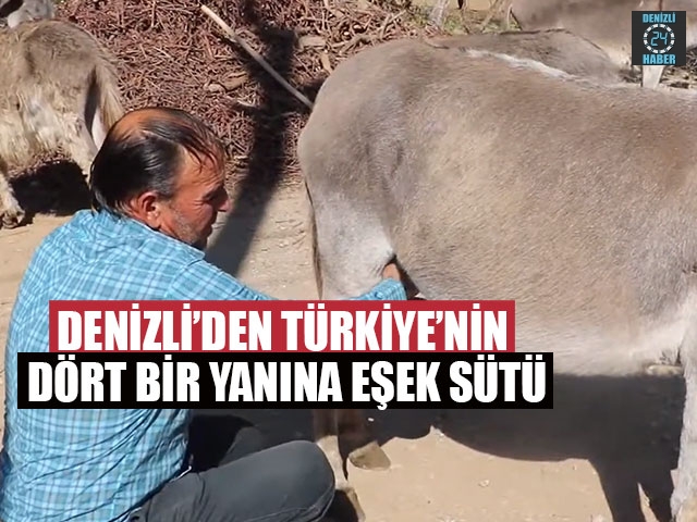 Denizli’den Türkiye’nin Dört Bir Yanına Eşek Sütü