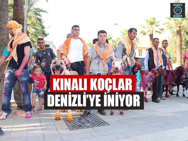 Kınalı Koçlar Denizli’ye İniyor