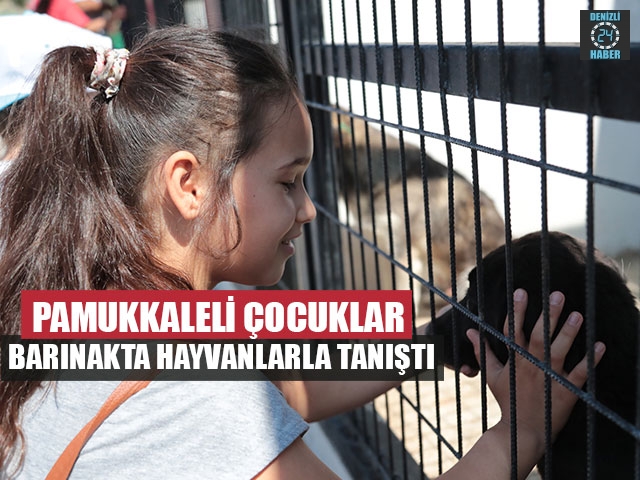 Pamukkaleli Çocuklar Barınakta Hayvanlarla Tanıştı