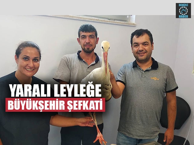 Yaralı Leyleğe Büyükşehir Şefkati