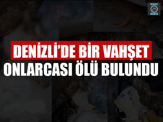 Denizli’de Bir Vahşet Onlarcası Ölü Bulundu