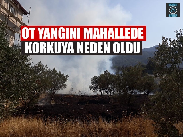 Ot Yangını Mahallede Korkuya Neden Oldu