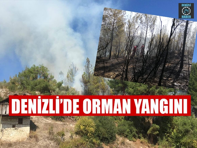 Denizli’de Orman Yangını