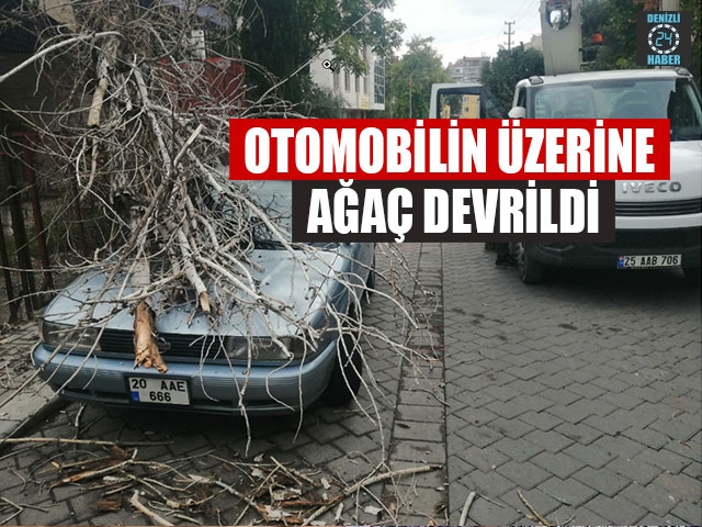 Denizli'de Otomobilin Üzerine Ağaç Devrildi