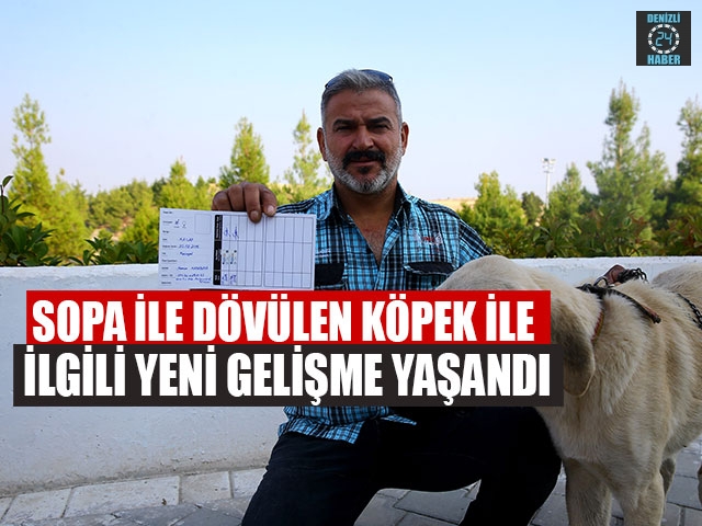 Sopa İle Dövülen Köpek İle İlgili Yeni Gelişme Yaşandı