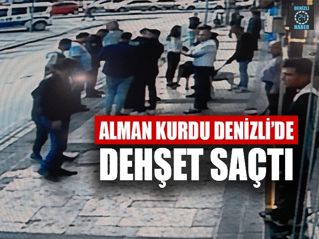 Alman Kurdu Denizli’de Dehşet Saçtı
