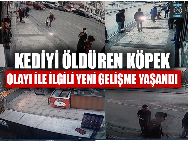 Kediyi Öldüren Köpek Olayı İle İlgili Yeni Gelişme Yaşandı