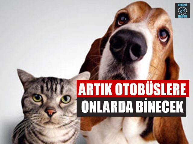 Artık Otobüslere Onlarda Binecek