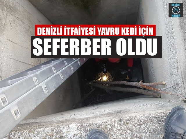 Denizli İtfaiyesi Yavru Kedi İçin Seferber Oldu