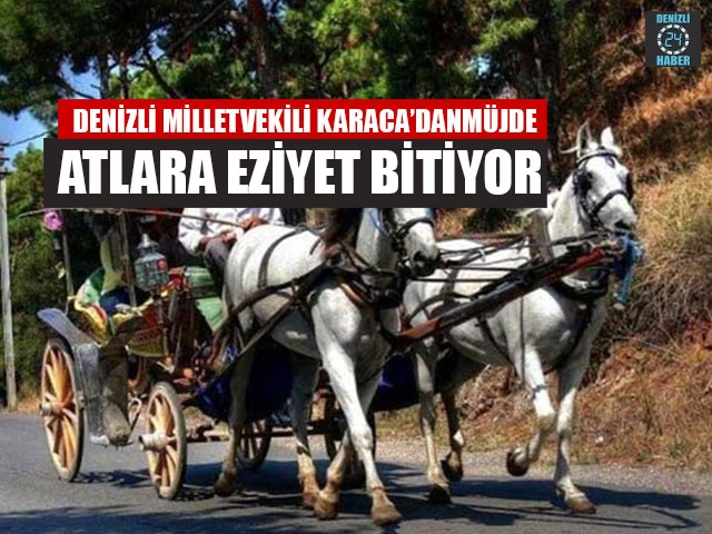 Denizli Milletvekili Karaca’dan Bir Öneri Bir Müjde Atlara Eziyet Bitiyor