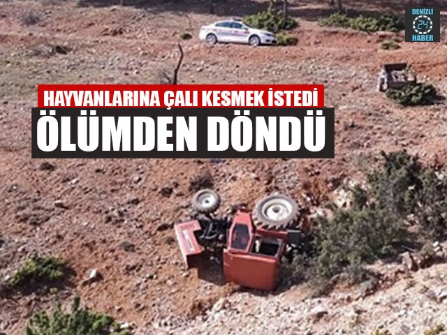 Hayvanlarına Çalı Kesmek için yola çıktı Ölümden Döndü