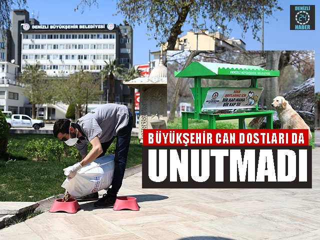 Büyükşehir Can Dostları Da Unutmadı