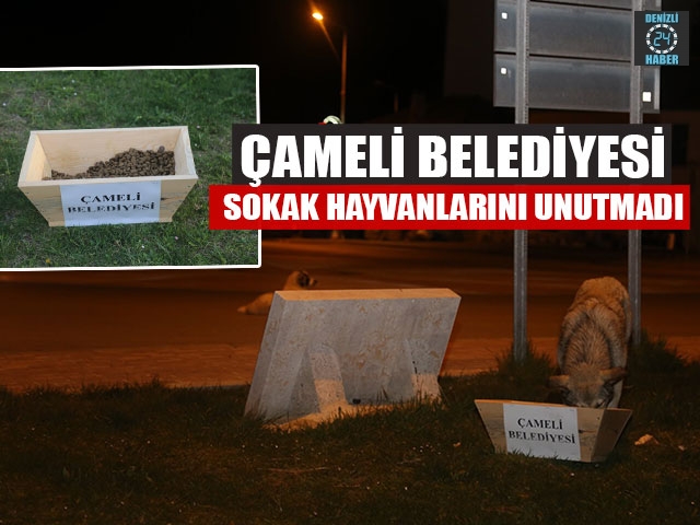 Çameli Belediyesi Sokak Hayvanlarını Unutmadı