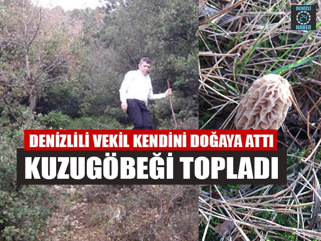 Denizlili Vekil Kendini Doğaya Attı Kuzugöbeği Topladı