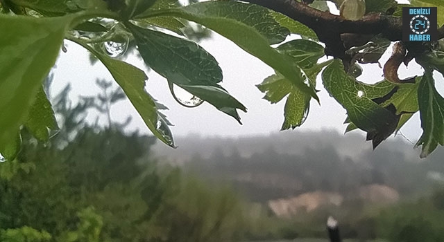 Kütahya Kamara Mahallesi’nde Ağaç ve çiçekler üzerindeki yağmur damlaları