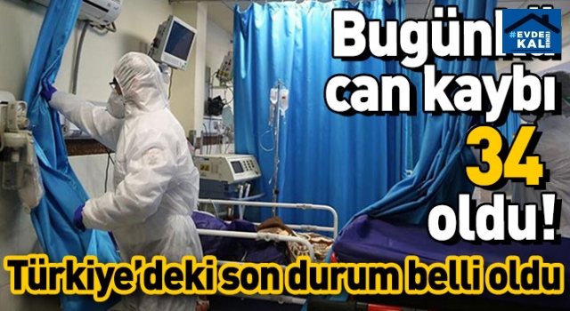 Türkiye'de son 24 saatte 34 can kaybı