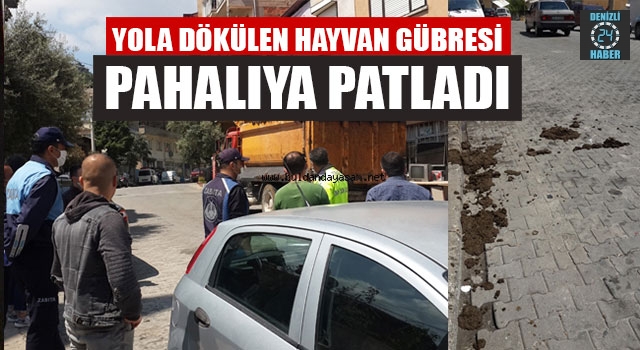 Yola Dökülen Hayvan Gübresi Pahalıya Patladı