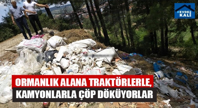 Ormanlık Alana Traktörlerle, Kamyonlarla Çöp Döküyorlar