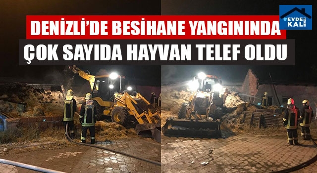 Baklan Besihane yangınında 40 büyükbaş hayvan telef oldu