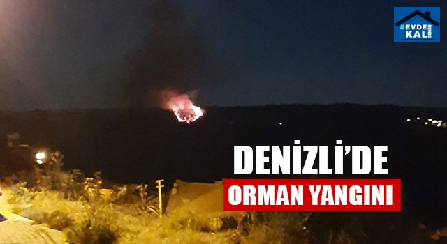 Denizli’de orman yangını