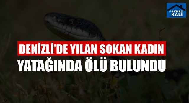 Denizli’de Yılan Sokan Kadın Yatağında Ölü Bulundu