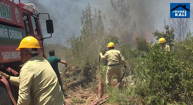 İzmir Buca’da Orman yangını