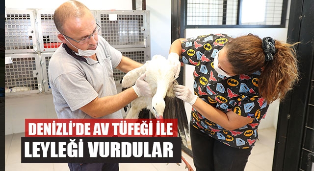 Av Tüfeği İle Leyleği Vurdular